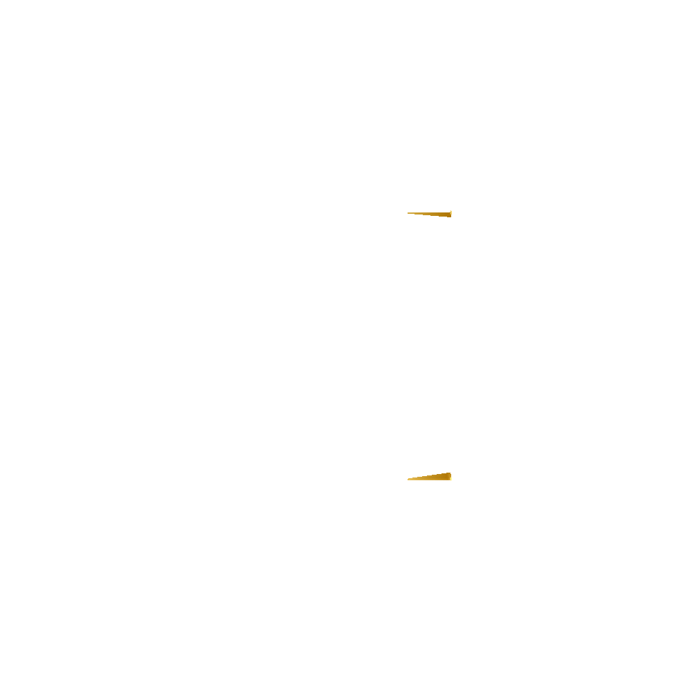 Loader